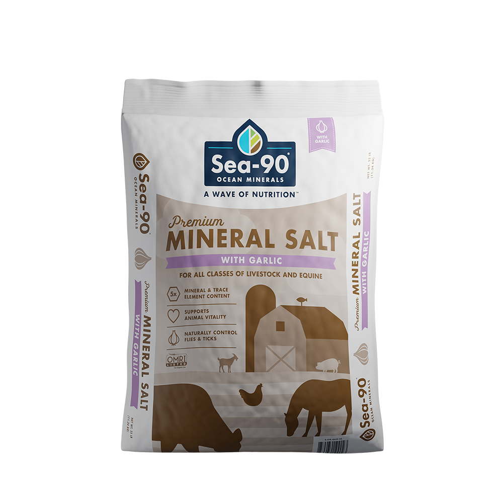 Sea-90 Premium Mineral Salt with Garlic